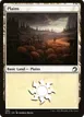 Plains #380