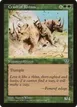 Crash of Rhinos #210