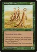 Karoo Meerkat #225