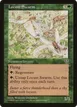 Locust Swarm #226