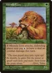 Mtenda Lion #230
