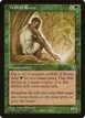 Wall of Roots #253