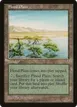 Flood Plain #326