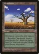 Grasslands #327