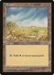 Plains #331