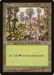 Forest #347