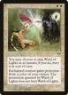 Ward of Lights #47