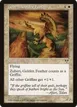 Zuberi, Golden Feather #51