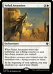 Veiled Ascension #18