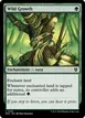 Wild Growth #195