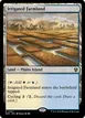 Irrigated Farmland #267