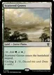 Scattered Groves #286