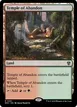 Temple of Abandon #301