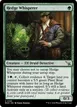Hedge Whisperer #165