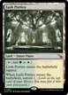 Lush Portico #263