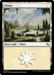 Plains #278