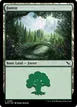 Forest #285