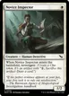 Novice Inspector #29