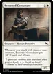 Seasoned Consultant #33