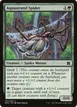 Aquastrand Spider #140