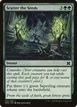 Scatter the Seeds #159