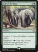 Call of the Herd #121