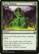 Slime Molding #137