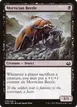 Mortician Beetle #78