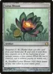 Lotus Bloom #208