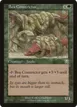 Boa Constrictor #231