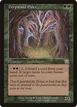 Deepwood Elder #240