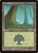 Forest #347