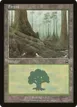 Forest #348