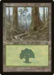 Forest #349