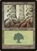 Forest #350