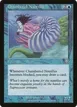 Chambered Nautilus #64