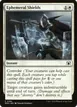 Ephemeral Shields #184
