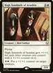 High Sentinels of Arashin #189