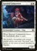 Spirited Companion #208