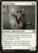 Suture Priest #210