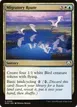Migratory Route #336