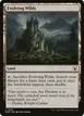Evolving Wilds #397