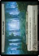 Megaflora Jungle #57