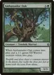 Ambassador Oak #113