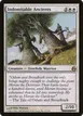 Indomitable Ancients #13