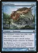 Floodchaser #34