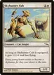 Skyhunter Cub #21