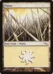 Plains #290