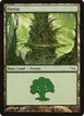 Forest #303