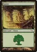 Forest #304